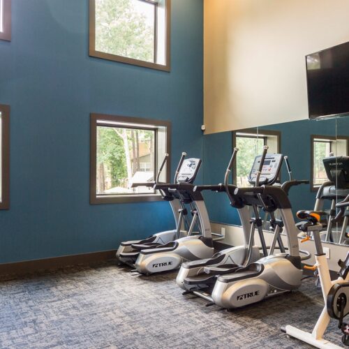 fitness center at The Overlook apartments in sandy springs, Atlanta, GA